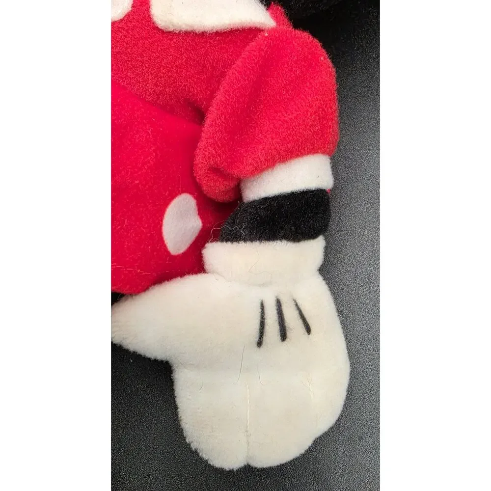 Walt Disney World buena plush tip